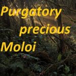 Purgatory by precious Moloi PDF