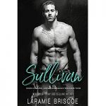 Sullivan by Laramie Briscoe