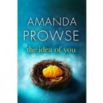 The Idea of You by Amanda Prowse