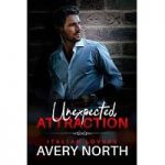 Unexpected Attraction by Avery North