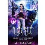 Lost by M. Sinclair