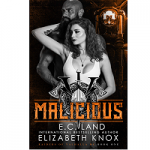 Malicious by Elizabeth Knox