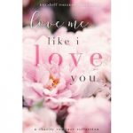 Love Me Like I Love You by Willow Winters
