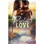Perfect Love by A.M. Hargrove