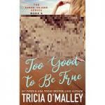 Too Good to Be True by Tricia O’Malley