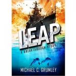 Leap by Michael C. Grumley