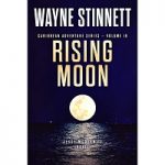 Rising Moon by Wayne Stinnet