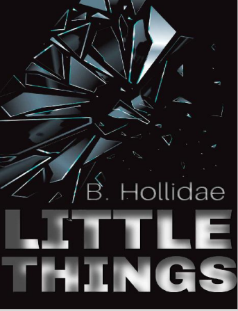 Little Things by B. Hollidae EPUB