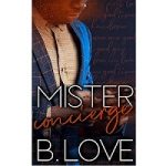Mister Concierge by B. Love
