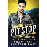 Pit Stop by Shaw Hart