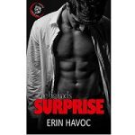 THE BIG BAD'S SURPRISE by Erin Havoc