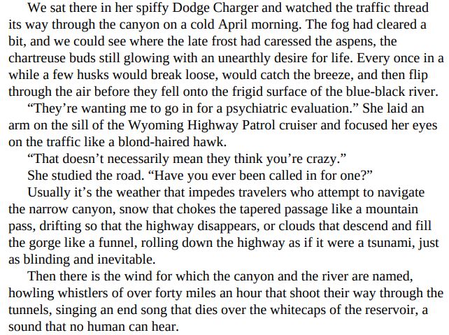 The Highwayman by Craig Johnson PDF