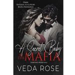 A Secret Baby by the Mafia by Veda Rose