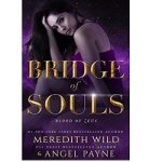 Bridge of Souls by Meredith Wild