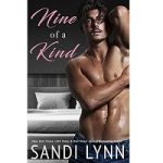 Nine of a Kind by Sandi Lynn