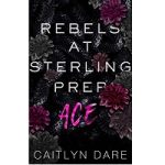 Rebels at Sterling Prep by Caitlyn Dare
