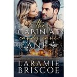 The Cabin at Candy Cane Lane by Laramie Briscoe