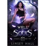 Well of Souls by Linsey Hall