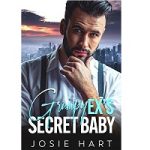 Grumpy Ex's Secret Baby by Josie Hart