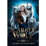 Scarred Wolf by Elizabeth Blackthorne