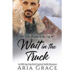 Wait in the Truck by Aria Grace