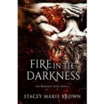 Fire In The Darkness by Stacey Marie Brown