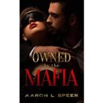 Owned By The Mafia by Aaron L Speer