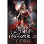 Fortune Academy Underworld by J.R. Thorn