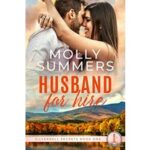 Husband For Hire by Molly Summers