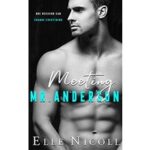 Meeting Mr Anderson by Elle Nicoll