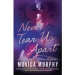 Never Tear Us Apart by Monica Murphy