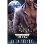Nothing to Chance by Julie Trettel