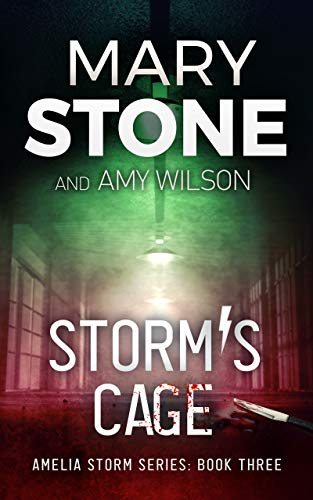 Storm's Cage by Mary Stone 