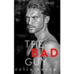 The Bad Guy by Celia Aaron