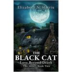 The Black Cat by Elizabeth N. Harris