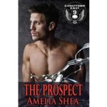 The Prospect by Amelia Shea