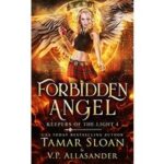 Forbidden Angel by Tamar Sloan