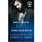 Hawk by Jessica Ames