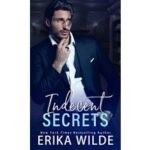 Indecent Secrets by Erika Wilde