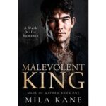 Malevolent King by Mila Kane