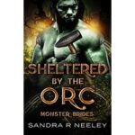 Sheltered By the Orc by Sandra R Neeley