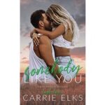 Somebody like you by carrie elks