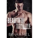 Beautiful Trouble by Desire by B. B. Hamel