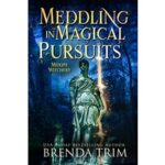Meddling in Magical Pursuits by Brenda Trim