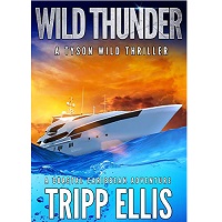 Wild Thunder by Tripp Ellis