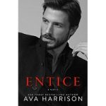 Entice by Ava Harrison