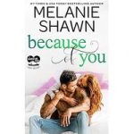 Because of You by Melanie Shawn